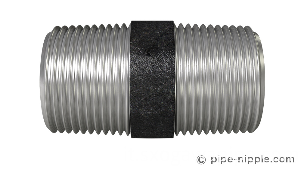Prezzo del capezzolo per entrambe le viti Both Screws Pipe Nipple Price